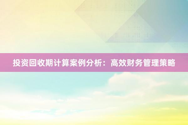 投资回收期计算案例分析：高效财务管理策略